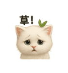 自信なさげなこねこのふわ猫スタンプ（個別スタンプ：9）