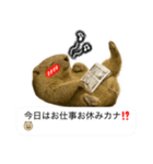 おっさんマーモットスタンプ（個別スタンプ：2）