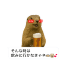 おっさんマーモットスタンプ（個別スタンプ：5）