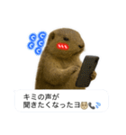おっさんマーモットスタンプ（個別スタンプ：7）
