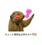 おっさんマーモットスタンプ（個別スタンプ：8）