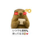 おっさんマーモットスタンプ（個別スタンプ：9）