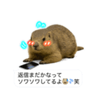 おっさんマーモットスタンプ（個別スタンプ：11）