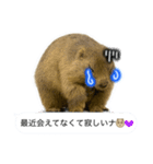 おっさんマーモットスタンプ（個別スタンプ：14）