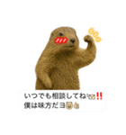 おっさんマーモットスタンプ（個別スタンプ：27）