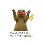 おっさんマーモットスタンプ（個別スタンプ：29）