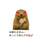 おっさんマーモットスタンプ（個別スタンプ：32）