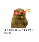 おっさんマーモットスタンプ（個別スタンプ：34）