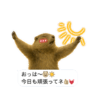 おっさんマーモットスタンプ（個別スタンプ：39）