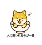 お茶碗犬 おちゃわんわん あいさつ（個別スタンプ：1）