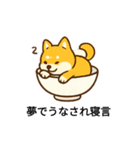 お茶碗犬 おちゃわんわん あいさつ（個別スタンプ：3）