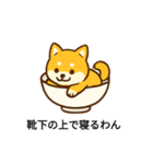 お茶碗犬 おちゃわんわん あいさつ（個別スタンプ：4）