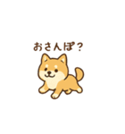 お茶碗犬 おちゃわんわん あいさつ（個別スタンプ：11）