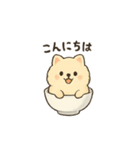 お茶碗犬 おちゃわんわん あいさつ（個別スタンプ：15）