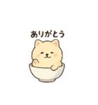 お茶碗犬 おちゃわんわん あいさつ（個別スタンプ：16）