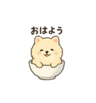 お茶碗犬 おちゃわんわん あいさつ（個別スタンプ：20）