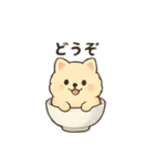 お茶碗犬 おちゃわんわん あいさつ（個別スタンプ：25）