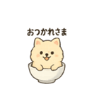 お茶碗犬 おちゃわんわん あいさつ（個別スタンプ：27）