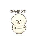 お茶碗犬 おちゃわんわん あいさつ（個別スタンプ：31）