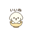 お茶碗犬 おちゃわんわん あいさつ（個別スタンプ：37）