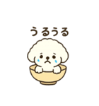 お茶碗犬 おちゃわんわん あいさつ（個別スタンプ：38）