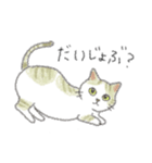 犬猫インコのすこぶる愉快な毎日2（個別スタンプ：4）