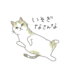 犬猫インコのすこぶる愉快な毎日2（個別スタンプ：6）