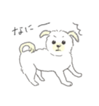 犬猫インコのすこぶる愉快な毎日2（個別スタンプ：7）