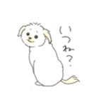 犬猫インコのすこぶる愉快な毎日2（個別スタンプ：8）