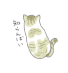 犬猫インコのすこぶる愉快な毎日2（個別スタンプ：9）