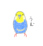 犬猫インコのすこぶる愉快な毎日2（個別スタンプ：12）