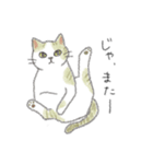 犬猫インコのすこぶる愉快な毎日2（個別スタンプ：16）