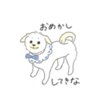 犬猫インコのすこぶる愉快な毎日2（個別スタンプ：17）
