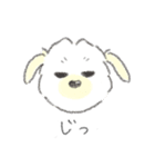 犬猫インコのすこぶる愉快な毎日2（個別スタンプ：19）