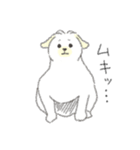 犬猫インコのすこぶる愉快な毎日2（個別スタンプ：20）