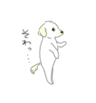 犬猫インコのすこぶる愉快な毎日2（個別スタンプ：21）