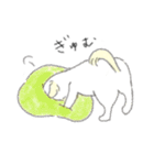 犬猫インコのすこぶる愉快な毎日2（個別スタンプ：23）