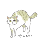 犬猫インコのすこぶる愉快な毎日2（個別スタンプ：24）