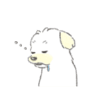 犬猫インコのすこぶる愉快な毎日2（個別スタンプ：26）