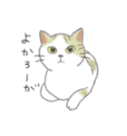 犬猫インコのすこぶる愉快な毎日2（個別スタンプ：27）