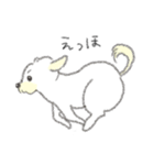 犬猫インコのすこぶる愉快な毎日2（個別スタンプ：29）