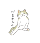 犬猫インコのすこぶる愉快な毎日2（個別スタンプ：30）