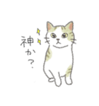 犬猫インコのすこぶる愉快な毎日2（個別スタンプ：32）