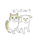 犬猫インコのすこぶる愉快な毎日2（個別スタンプ：34）