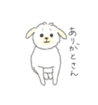 犬猫インコのすこぶる愉快な毎日2（個別スタンプ：35）