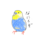 犬猫インコのすこぶる愉快な毎日2（個別スタンプ：36）