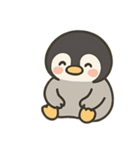 ペンギンくんのスタンプ5（個別スタンプ：1）