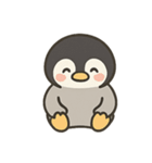 ペンギンくんのスタンプ5（個別スタンプ：11）