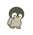 ペンギンくんのスタンプ5（個別スタンプ：23）