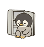 ペンギンくんのスタンプ5（個別スタンプ：25）